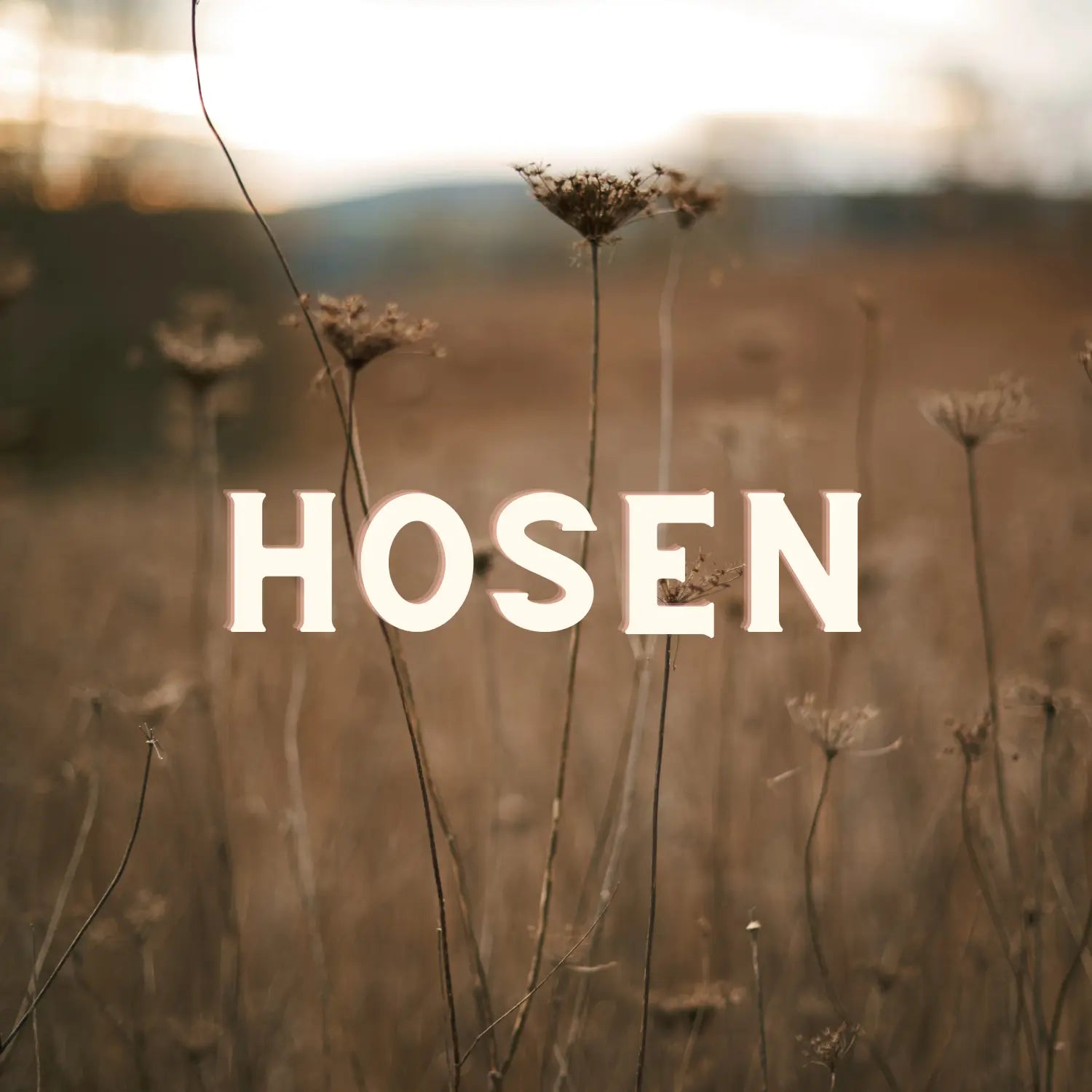 Hosen VON&ZU