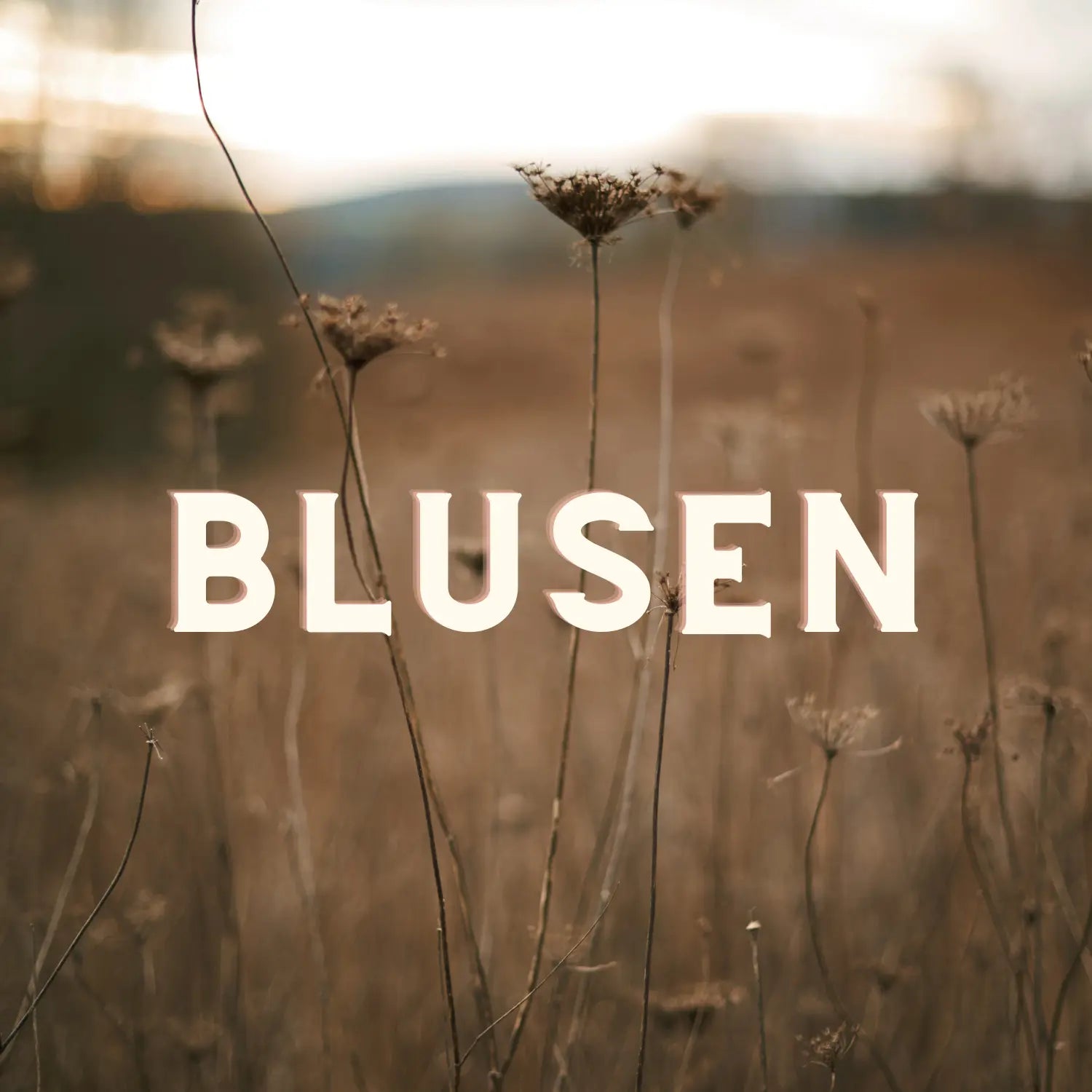 Blusen VON&ZU